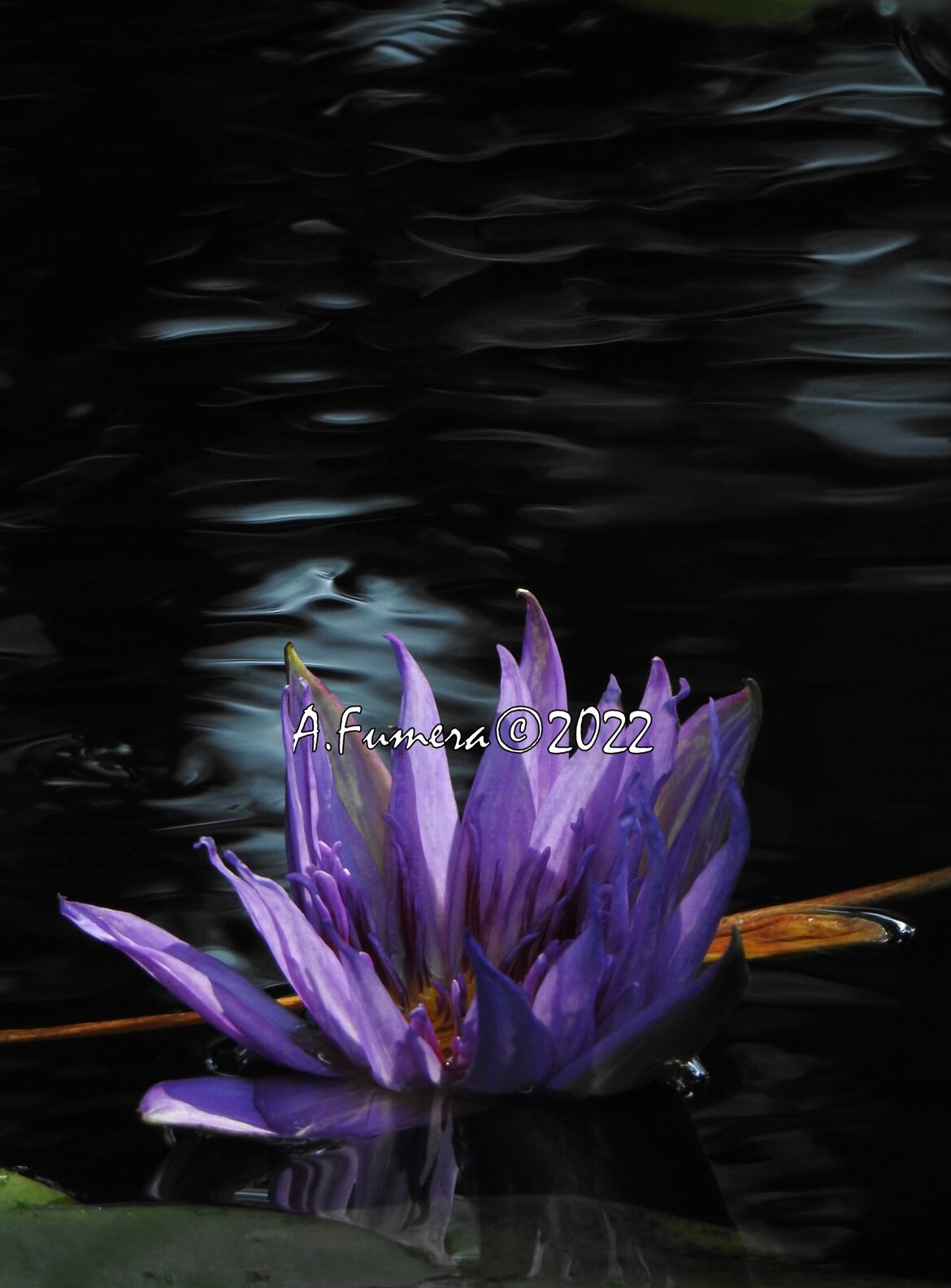 160b55c0-fcec-4a1e-8421-0521a96f95b7