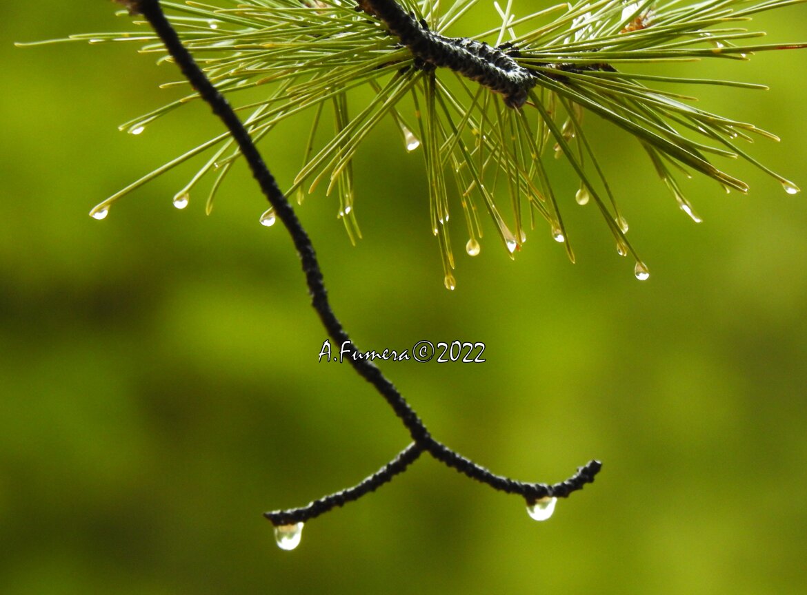 e9e3455c-e9f7-4ce7-86ee-d8759903f962