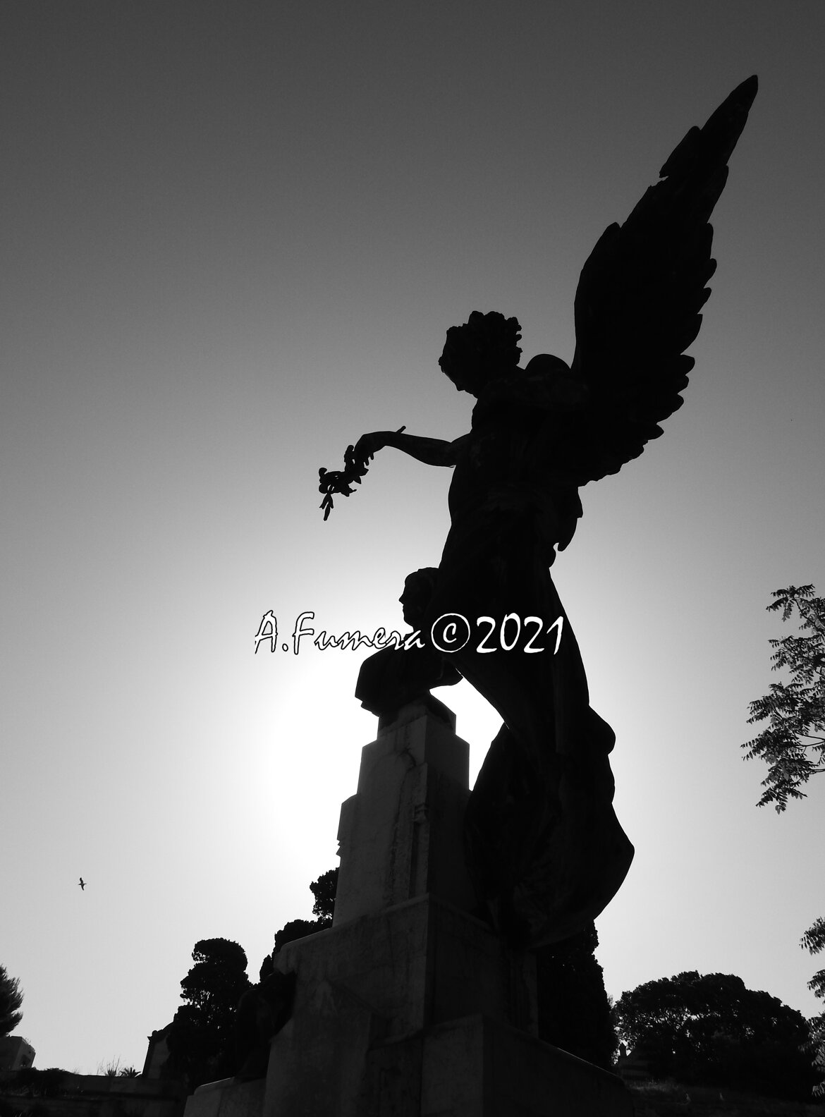 e33bce54-93a9-49aa-97fe-4d6b055d10dc