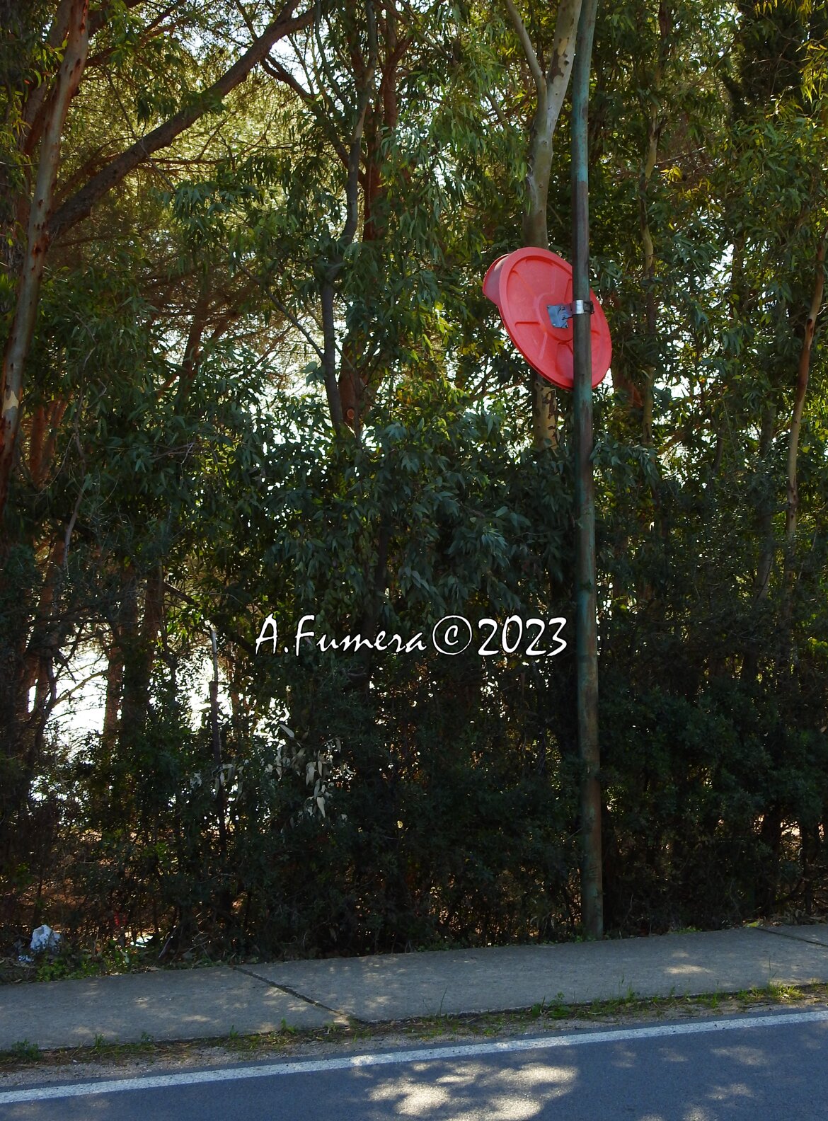 f214a0f4-4236-4779-ae16-f590c9a970c3 f214a0f4-4236-4779-ae16-f590c9a970c3