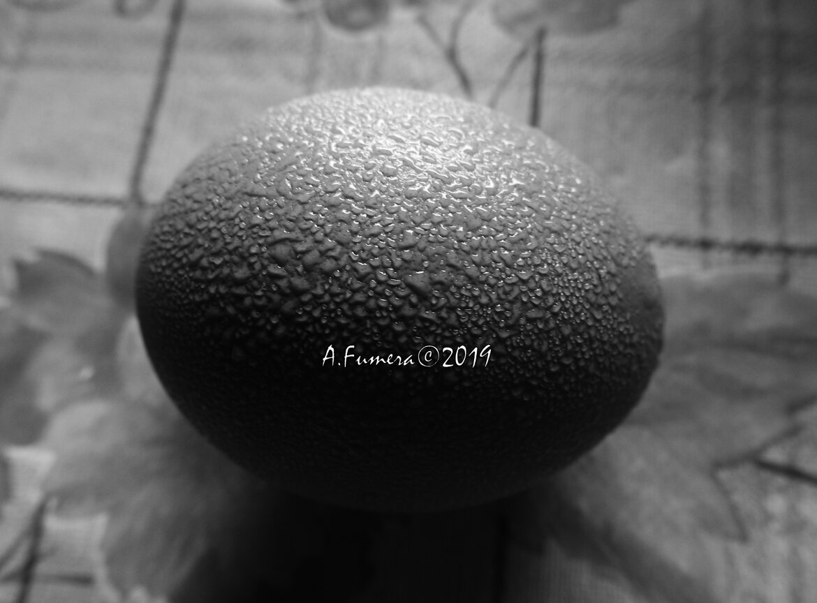 ab83066e-5494-4d19-99a3-a5b9ea3e1cd0