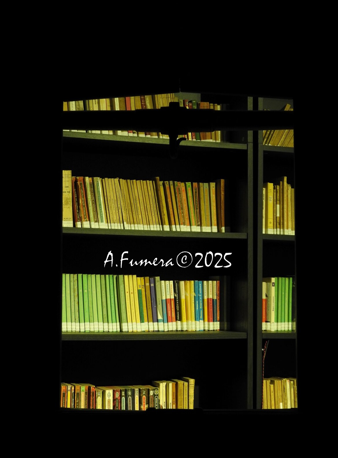 02df596f-48ea-46d0-9bd1-34491d09d90b