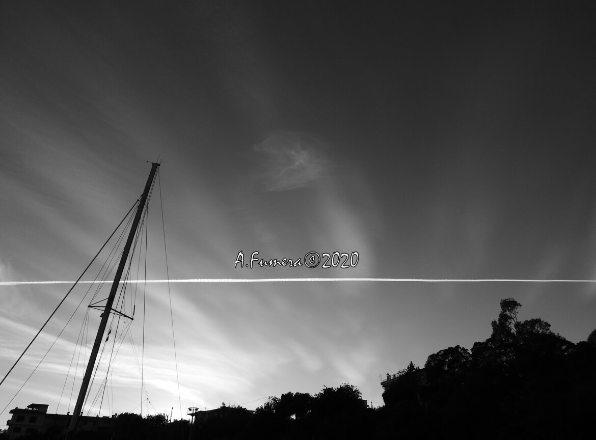 8507045c-a0a8-4b24-9f6f-43e8a2853763