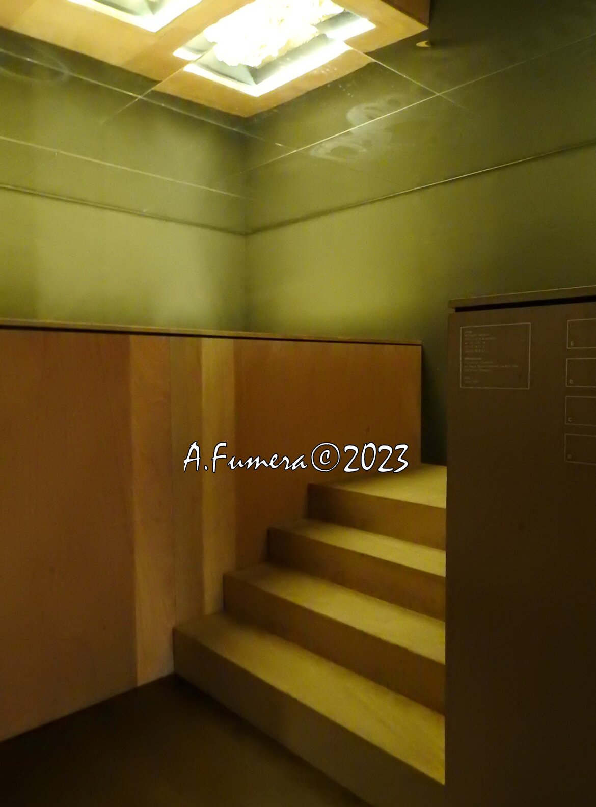 24deecf0-bd36-420e-88ad-e42d774d6da9