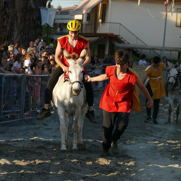 gare palio