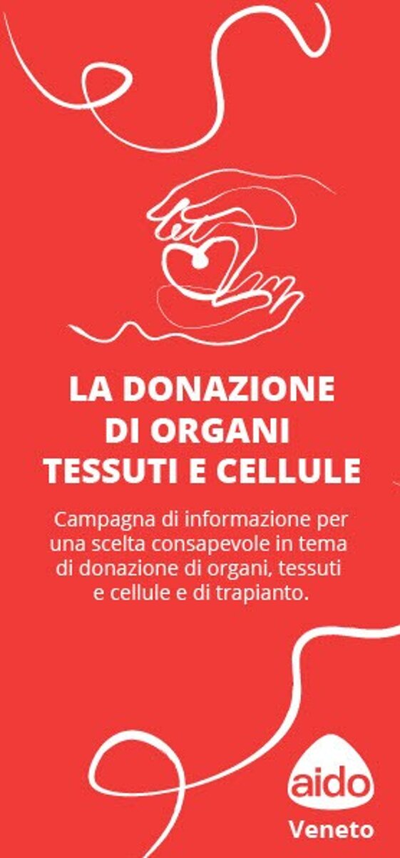 95d92c41-2221-4086-85d2-01e3c83b37c8