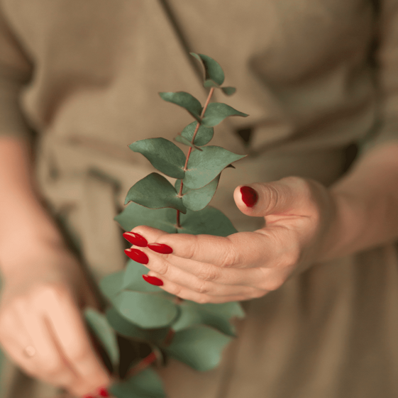 e59692fd-8811-4b86-b4f7-e09016ca9410