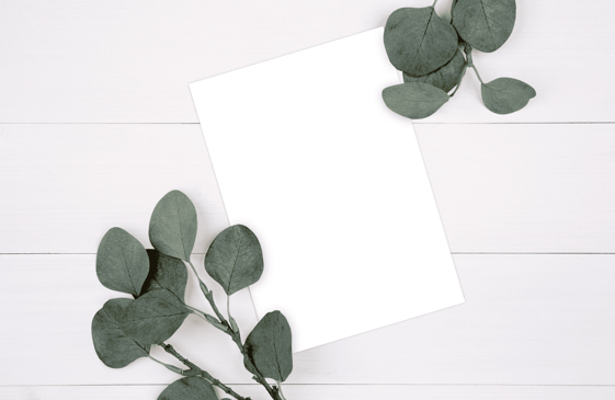 8b8bc579-2cb7-4b1a-b5a9-67ce4725a3d2