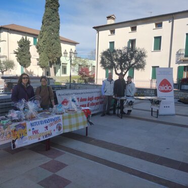 Casoni di Mussolente