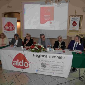 Giunta Regionale, Flavia Petrin, Stefano Collavo