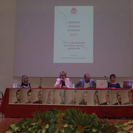 Flavia Petrin - Presidente Nazionale AIDO Apertura dei lavori e sua relazione Flavia Petrin - Presidente Nazionale AIDO Apertura dei lavori e sua relazione