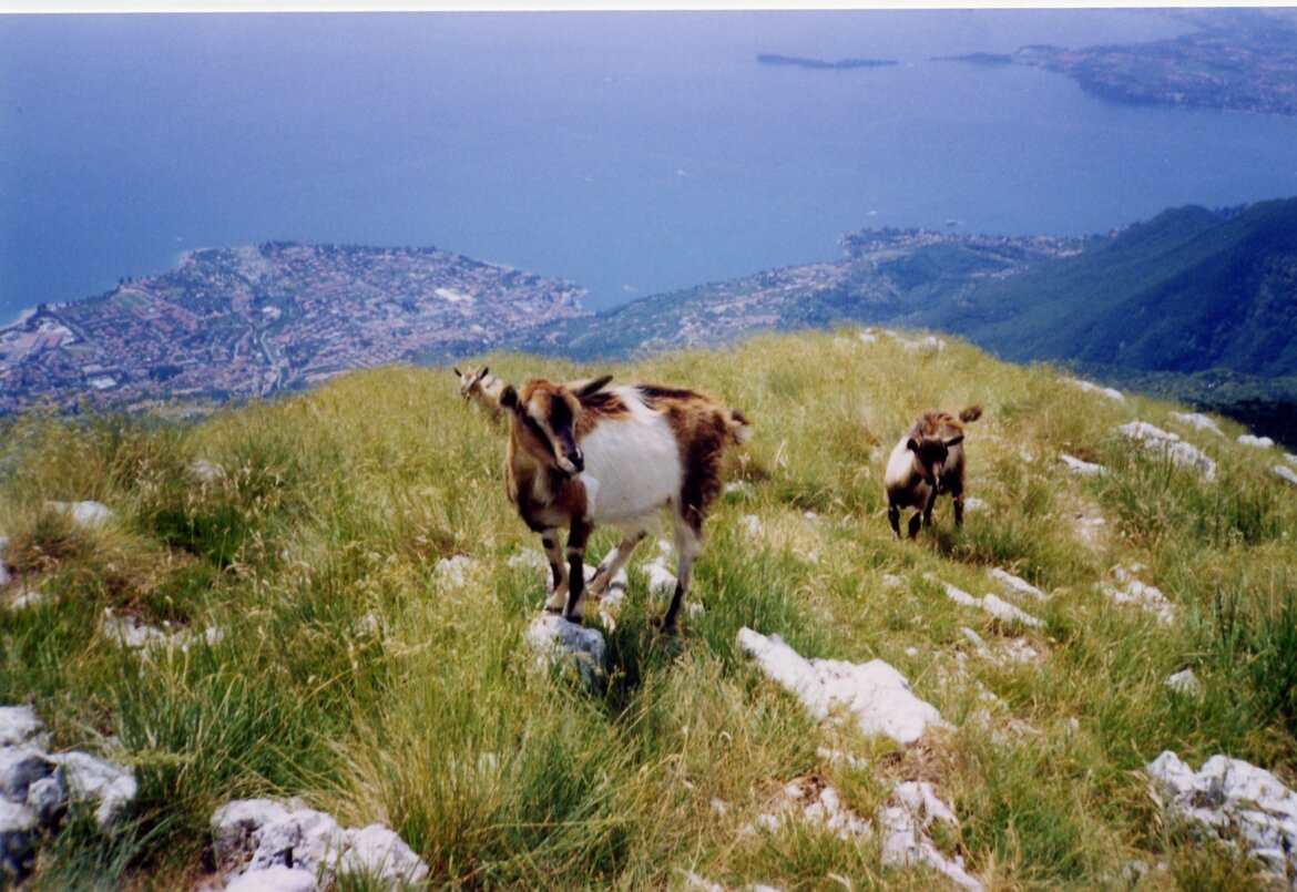 2f54f167-53a2-4e4a-a241-20aa959cf050 2f54f167-53a2-4e4a-a241-20aa959cf050