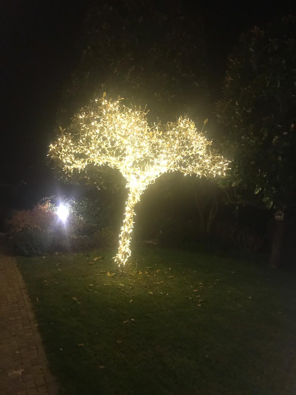 3c411d51-ec8c-48a1-aaec-f5a41ef3bca4 3c411d51-ec8c-48a1-aaec-f5a41ef3bca4