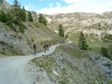 7f31db31-8c64-4534-9489-7673f2b055b5 7f31db31-8c64-4534-9489-7673f2b055b5