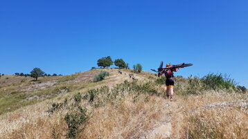 e6180854-048d-4031-b077-0bf44987571a e6180854-048d-4031-b077-0bf44987571a