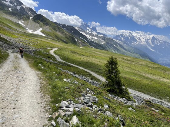 40f78ba1-5f52-4c62-a8da-c0c46e579624 40f78ba1-5f52-4c62-a8da-c0c46e579624