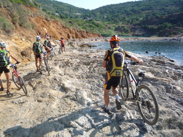 583bb934-7139-4549-a561-7d2a7bc3bce5 583bb934-7139-4549-a561-7d2a7bc3bce5