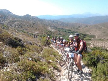 72fc83b8-0ee9-47c4-822c-444e347196d1 72fc83b8-0ee9-47c4-822c-444e347196d1