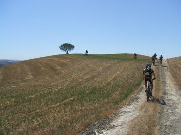 f7d432a1-7827-44df-a577-848179ea98a9 f7d432a1-7827-44df-a577-848179ea98a9