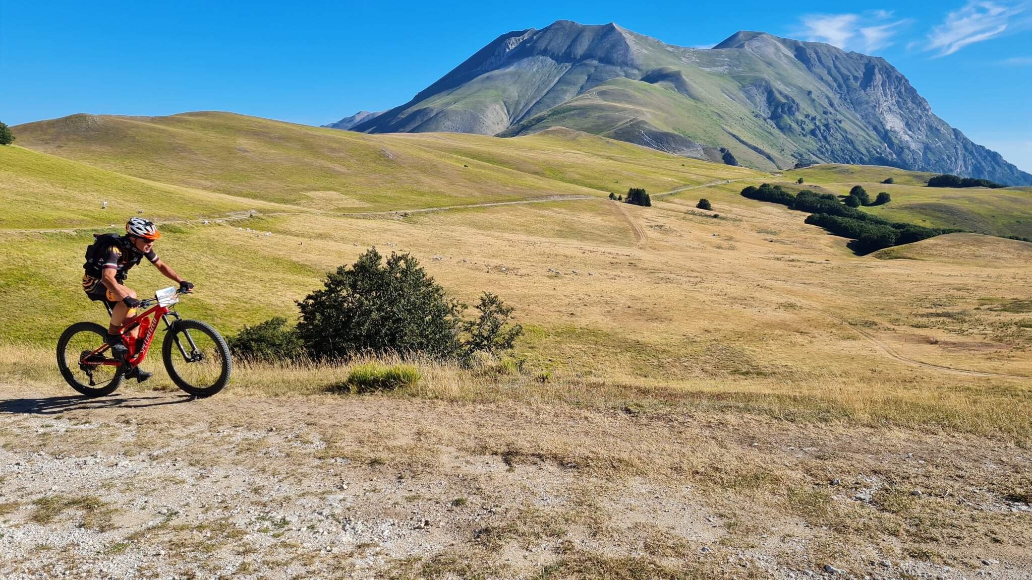 57c22b2e-10fd-4de2-ab81-68a972fa3d17.jpeg 57c22b2e-10fd-4de2-ab81-68a972fa3d17.jpeg