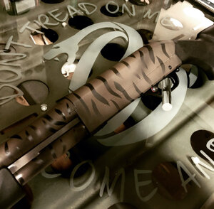 TOPSHILED SAND TIGER