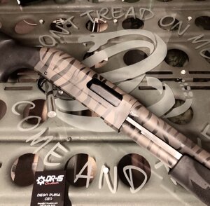 TOPSHILED SAND TIGER