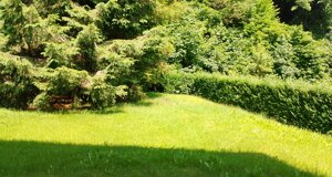 img_20250613_110512.jpeg img_20250613_110512.jpeg