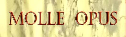 molleopuslogodelcatalogo