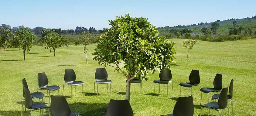 organize-a-green-event
