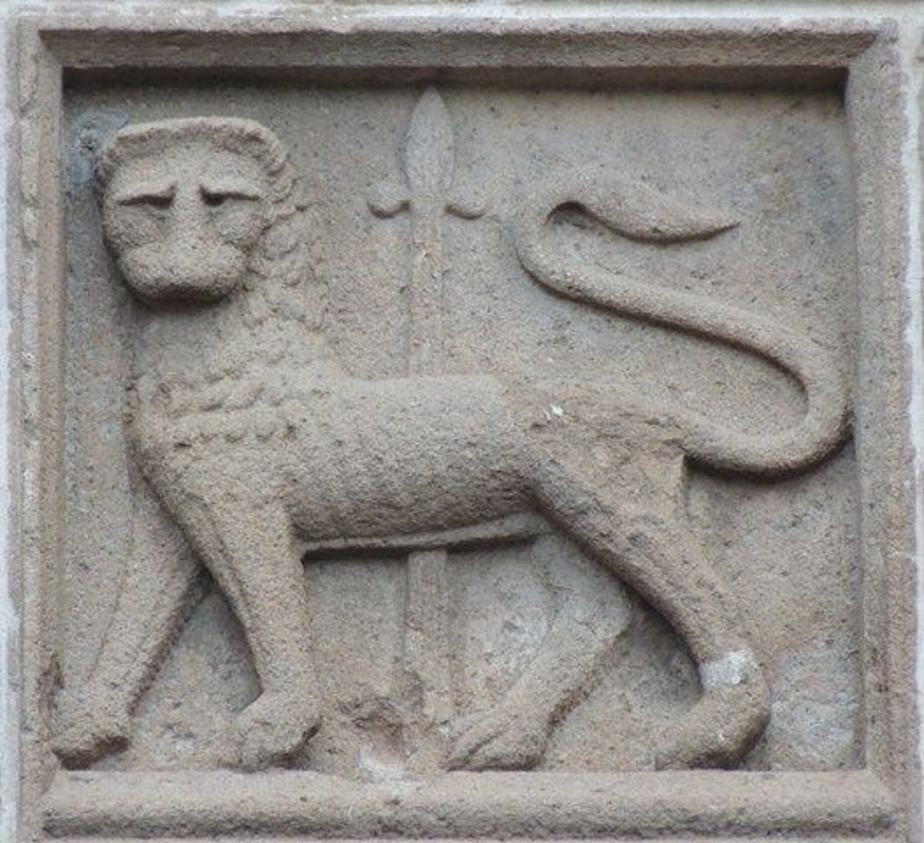 803cf228-a2d2-4d4a-ba96-e6af50cafd71 803cf228-a2d2-4d4a-ba96-e6af50cafd71