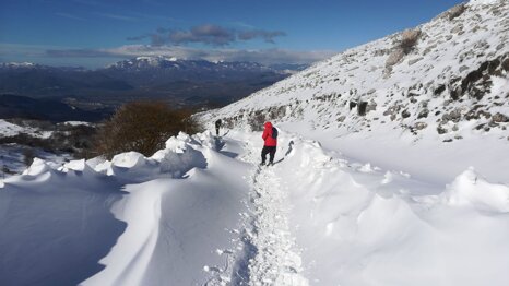 e4a98d32-01ad-40c8-9914-bce24ba18865