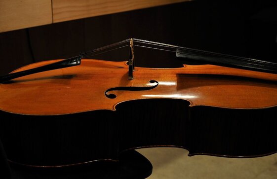 81c5ad2e-0ea4-40af-8fa2-90dde8b4e173 81c5ad2e-0ea4-40af-8fa2-90dde8b4e173