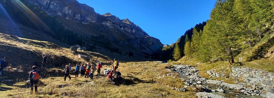 276f107b-c272-4493-aed6-94f7a4a1cec4