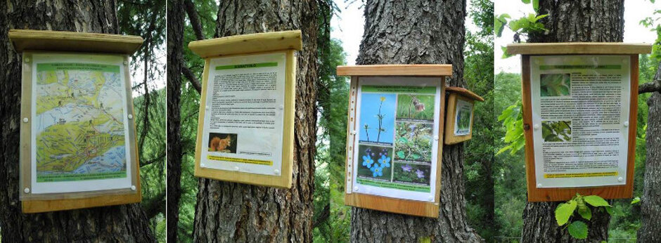 629dcfa9-14eb-41d8-82a4-7b05ee45e3eb 629dcfa9-14eb-41d8-82a4-7b05ee45e3eb