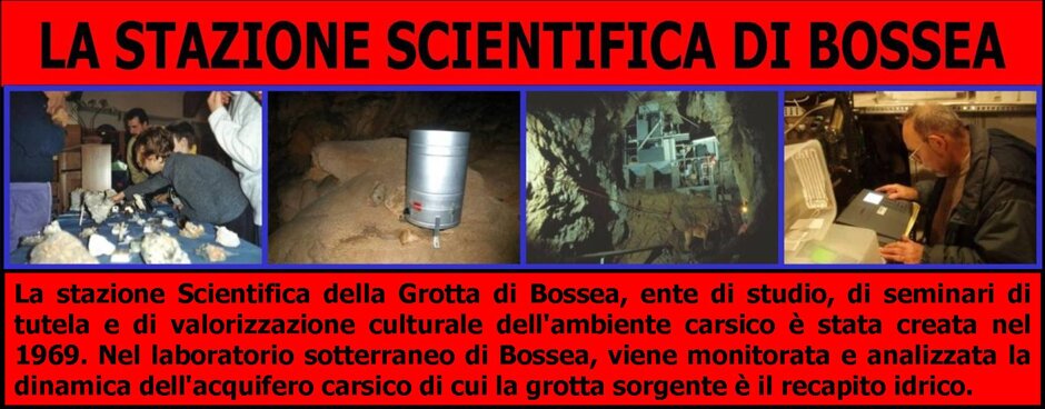 56be4eb6-3be3-4461-83b4-b344274c43c5 56be4eb6-3be3-4461-83b4-b344274c43c5