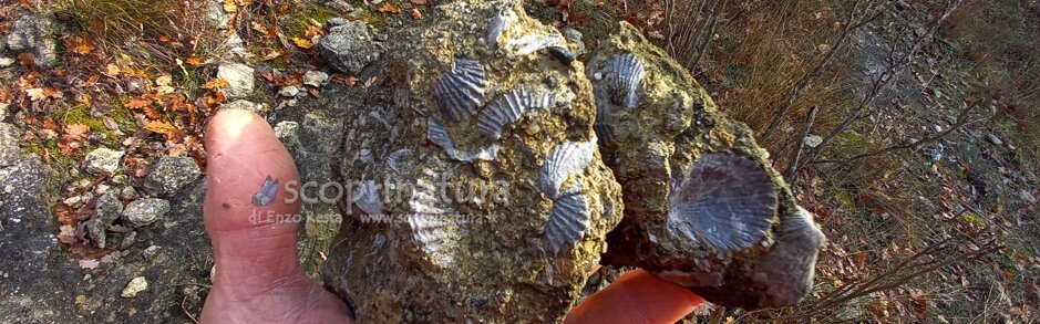 f7e74bfc-fc54-4d3c-b848-c21a881ae244