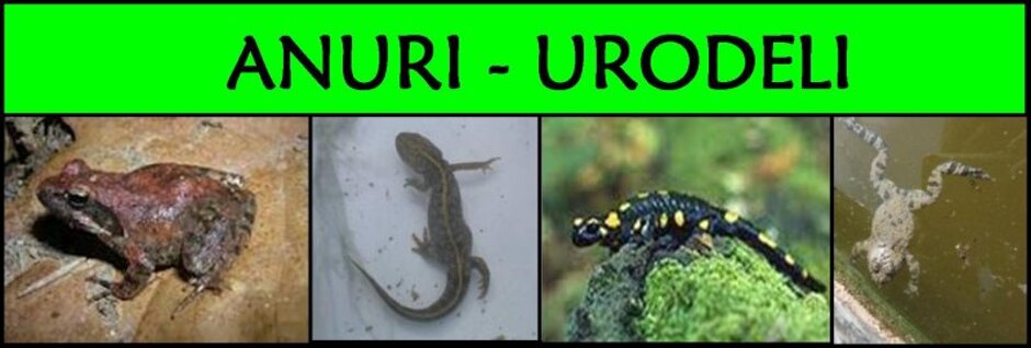 adb2fb8c-d7bd-4cd5-82e7-79f30de11a8f adb2fb8c-d7bd-4cd5-82e7-79f30de11a8f