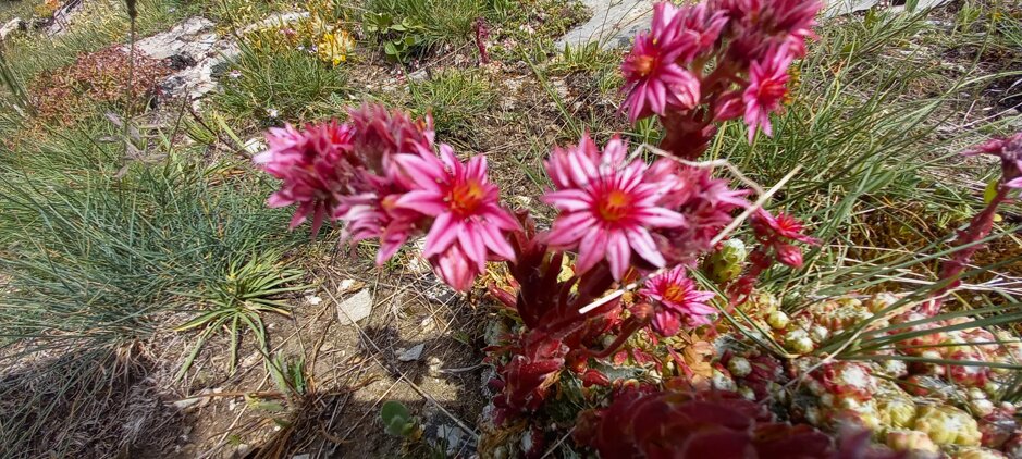 c5d8ce97-b879-436a-b592-9dd33b09895e