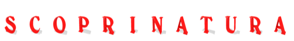 6351af8e-265d-43cc-a822-13dd8060105a 6351af8e-265d-43cc-a822-13dd8060105a