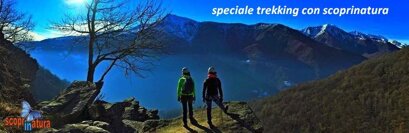 ea681171-ab1d-4321-b63c-1ef866d470dc