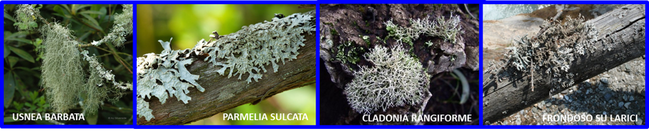 1f55e349-814a-4f16-8f2a-f2dde76dcf80 1f55e349-814a-4f16-8f2a-f2dde76dcf80