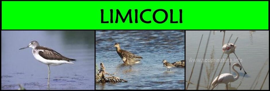 7b7f742f-7f92-44fc-b332-516b144e1df1 7b7f742f-7f92-44fc-b332-516b144e1df1