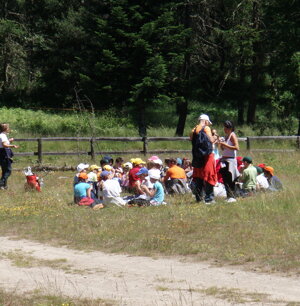 ragazzi in attività didattica
