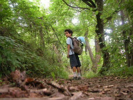 f311575d-d50d-419b-8899-e958a957a45a f311575d-d50d-419b-8899-e958a957a45a