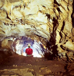 Galleria fossile detta 