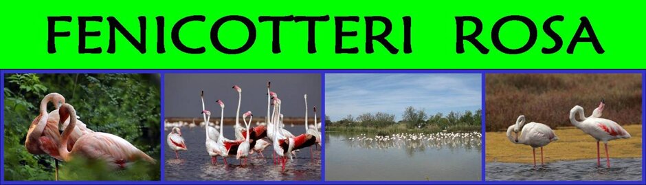 b6ec1fc4-dd2d-4133-bb7f-3f34ead11eda b6ec1fc4-dd2d-4133-bb7f-3f34ead11eda