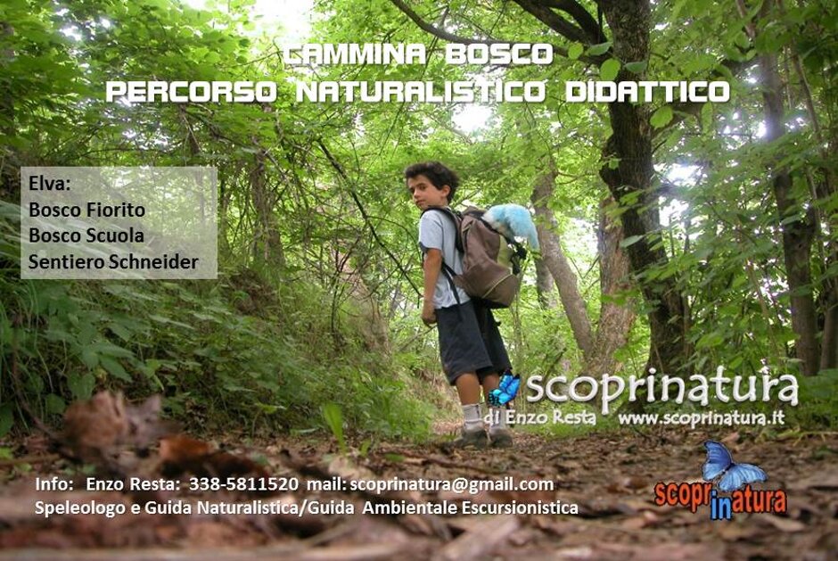 7010d822-f237-41a8-8985-5671850daa2a 7010d822-f237-41a8-8985-5671850daa2a