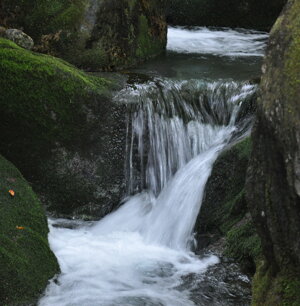 torrente Pesio