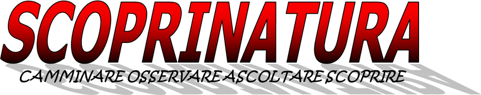 b56df14c-c0a9-4994-b70e-069f2effcd6f