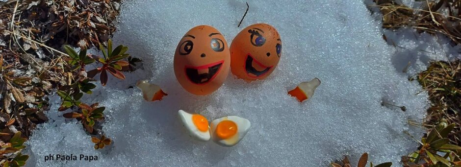 995ce15e-006a-4a8a-9aa5-c2c8206765be 995ce15e-006a-4a8a-9aa5-c2c8206765be